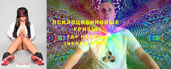 молекула духа Алзамай