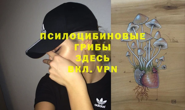 молекула духа Абаза