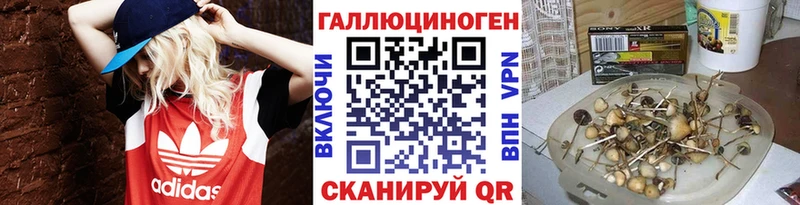 Псилоцибиновые грибы GOLDEN TEACHER как найти закладки Торопец